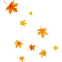 Untitled design (10)